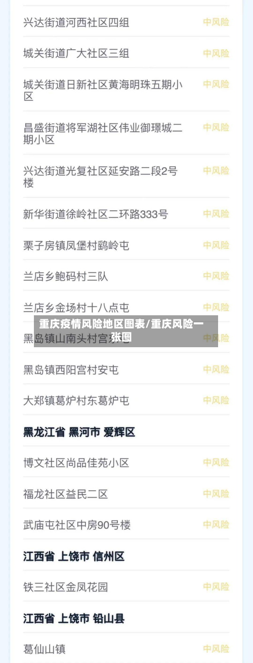重庆疫情风险地区图表/重庆风险一张图