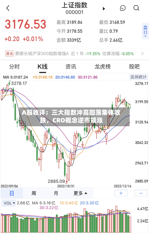 A股收评：三大指数冲高回落集体收跌，CRO概念逆市领涨-第3张图片