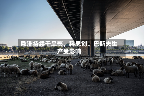 欧洲持续干旱影	，科思创、巴斯夫生产受影响-第3张图片