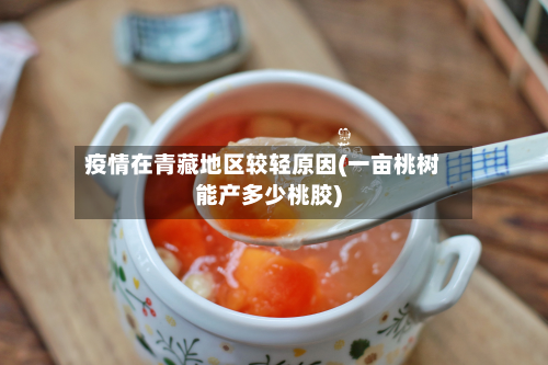 疫情在青藏地区较轻原因(一亩桃树能产多少桃胶)-第3张图片