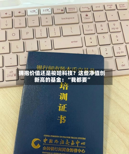 拥抱价值还是梭哈科技？这些净值创新高的基金：“我都要”