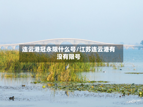 连云港冠永限什么号/江苏连云港有没有限号-第2张图片