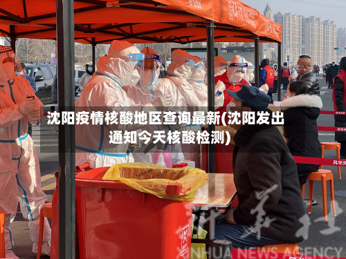 沈阳疫情核酸地区查询最新(沈阳发出通知今天核酸检测)-第3张图片