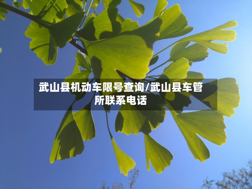 武山县机动车限号查询/武山县车管所联系电话