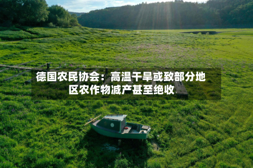 德国农民协会：高温干旱或致部分地区农作物减产甚至绝收