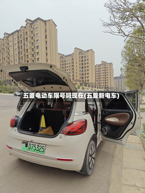 五菱电动车限号吗现在(五菱新电车)-第2张图片