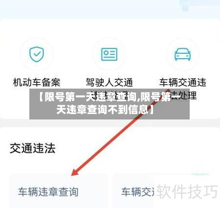 【限号第一天违章查询,限号第一天违章查询不到信息】