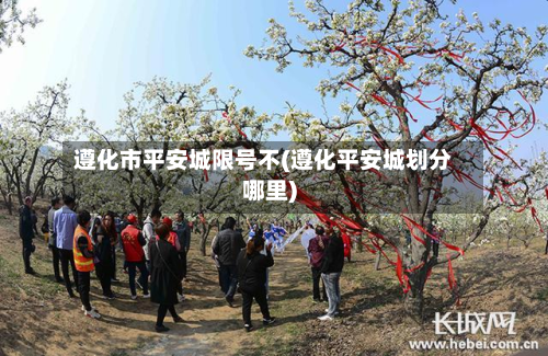 遵化市平安城限号不(遵化平安城划分哪里)-第2张图片