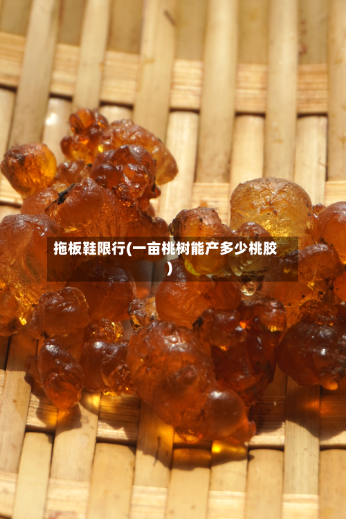 拖板鞋限行(一亩桃树能产多少桃胶)