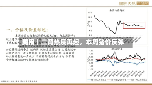 费用周报｜二育热度再起，本周猪价反弹-第2张图片