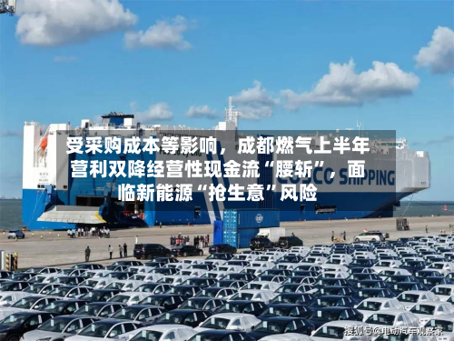 受采购成本等影响，成都燃气上半年营利双降经营性现金流“腰斩”，面临新能源“抢生意”风险