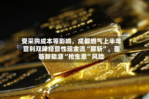 受采购成本等影响	，成都燃气上半年营利双降经营性现金流“腰斩”，面临新能源“抢生意	”风险-第2张图片