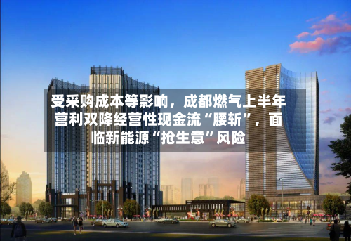 受采购成本等影响	，成都燃气上半年营利双降经营性现金流“腰斩”，面临新能源“抢生意”风险-第3张图片