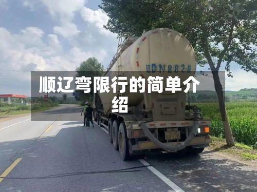 顺辽弯限行的简单介绍
