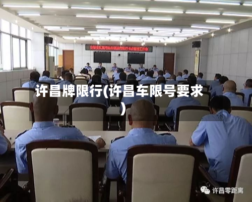 许昌牌限行(许昌车限号要求)-第3张图片