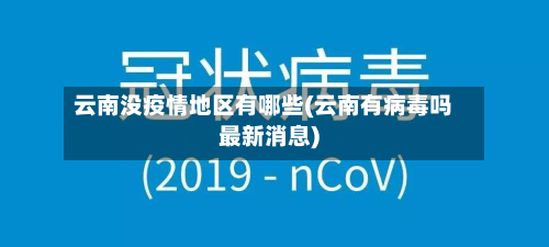 云南没疫情地区有哪些(云南有病毒吗最新消息)-第2张图片