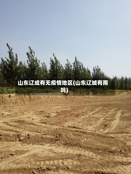 山东辽成有无疫情地区(山东辽城有雨吗)