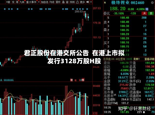 君正股份在港交所公告  在港上市拟发行3128万股H股