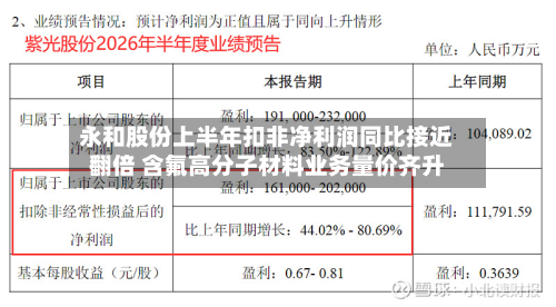 永和股份上半年扣非净利润同比接近翻倍 含氟高分子材料业务量价齐升-第2张图片