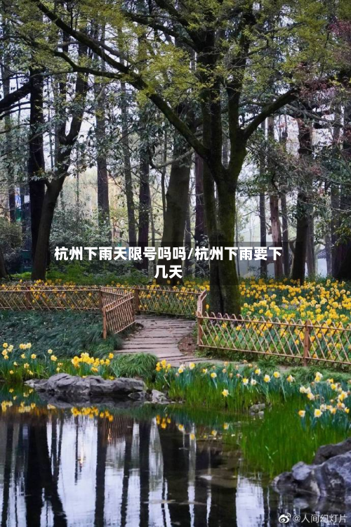 杭州下雨天限号吗吗/杭州下雨要下几天