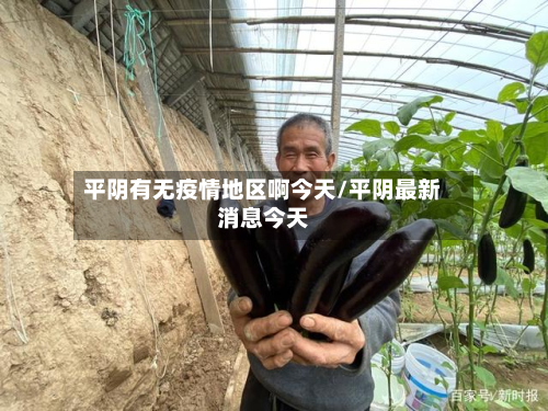 平阴有无疫情地区啊今天/平阴最新消息今天-第3张图片