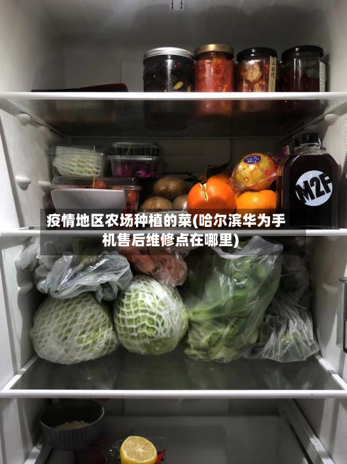疫情地区农场种植的菜(哈尔滨华为手机售后维修点在哪里)