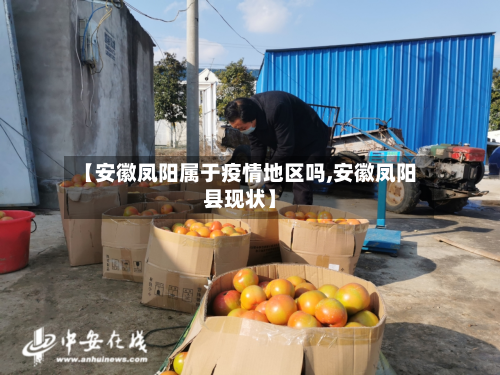 【安徽凤阳属于疫情地区吗,安徽凤阳县现状】-第2张图片