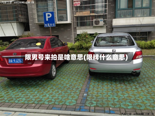 限男号来拍是啥意思(限牌什么意思)-第2张图片