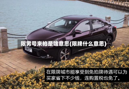 限男号来拍是啥意思(限牌什么意思)-第3张图片