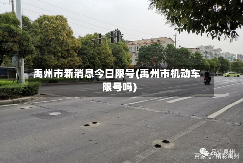 禹州市新消息今日限号(禹州市机动车限号吗)