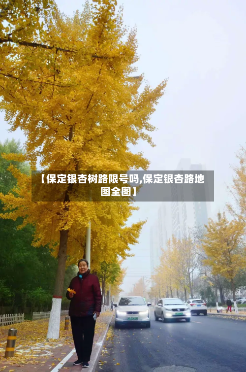 【保定银杏树路限号吗,保定银杏路地图全图】