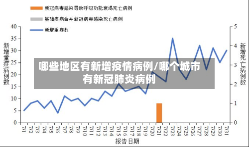 哪些地区有新增疫情病例/哪个城市有新冠肺炎病例