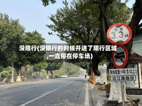 没限行(没限行的时候开进了限行区域,一直停在停车场)