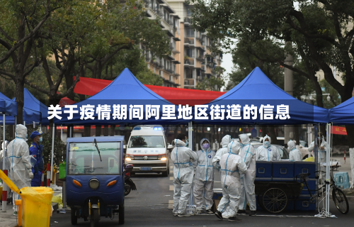 关于疫情期间阿里地区街道的信息