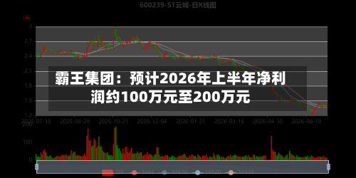 霸王集团：预计2026年上半年净利润约100万元至200万元-第2张图片
