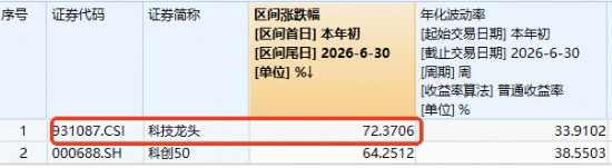 AI服务器爆发涨停潮！中信证券：国产算力“Plan B	”有望获外资配置！跑赢科创50的“宽基”科技ETF深V反弹
