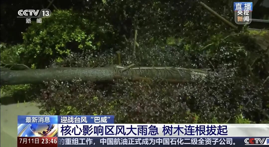 “巴威	”最新路径公布！0时在浙江乐清二次登陆	，5时减弱为强热带风暴，中心最大风力11级